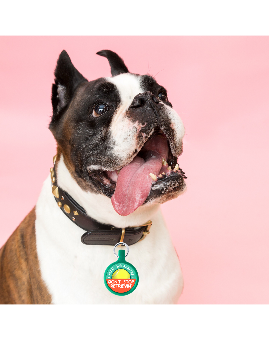 Don’t Stop Retrievin’ Ecoplastic Pet ID Tag